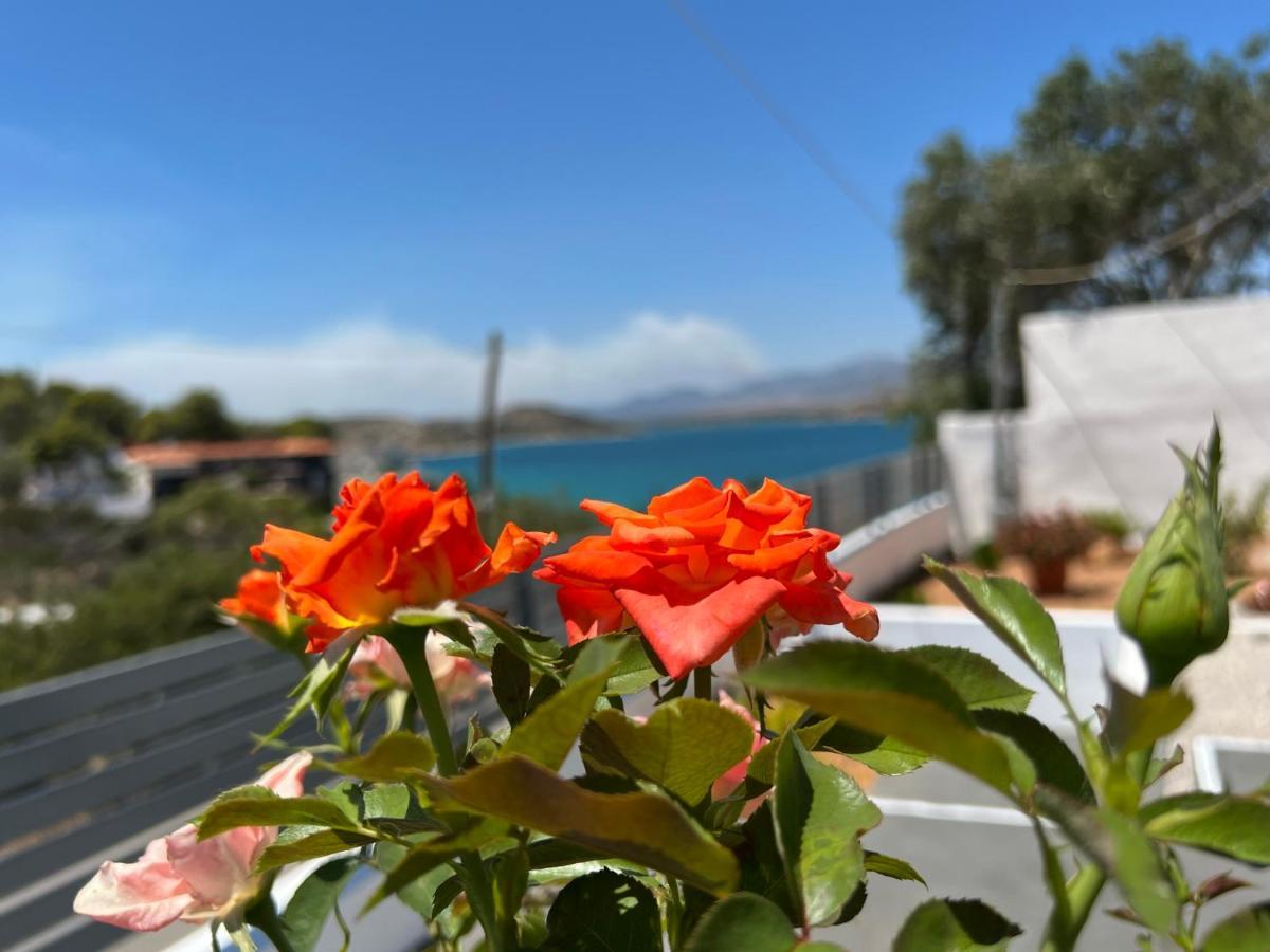 Oceanus Summer House Salamina Zewnętrze zdjęcie
