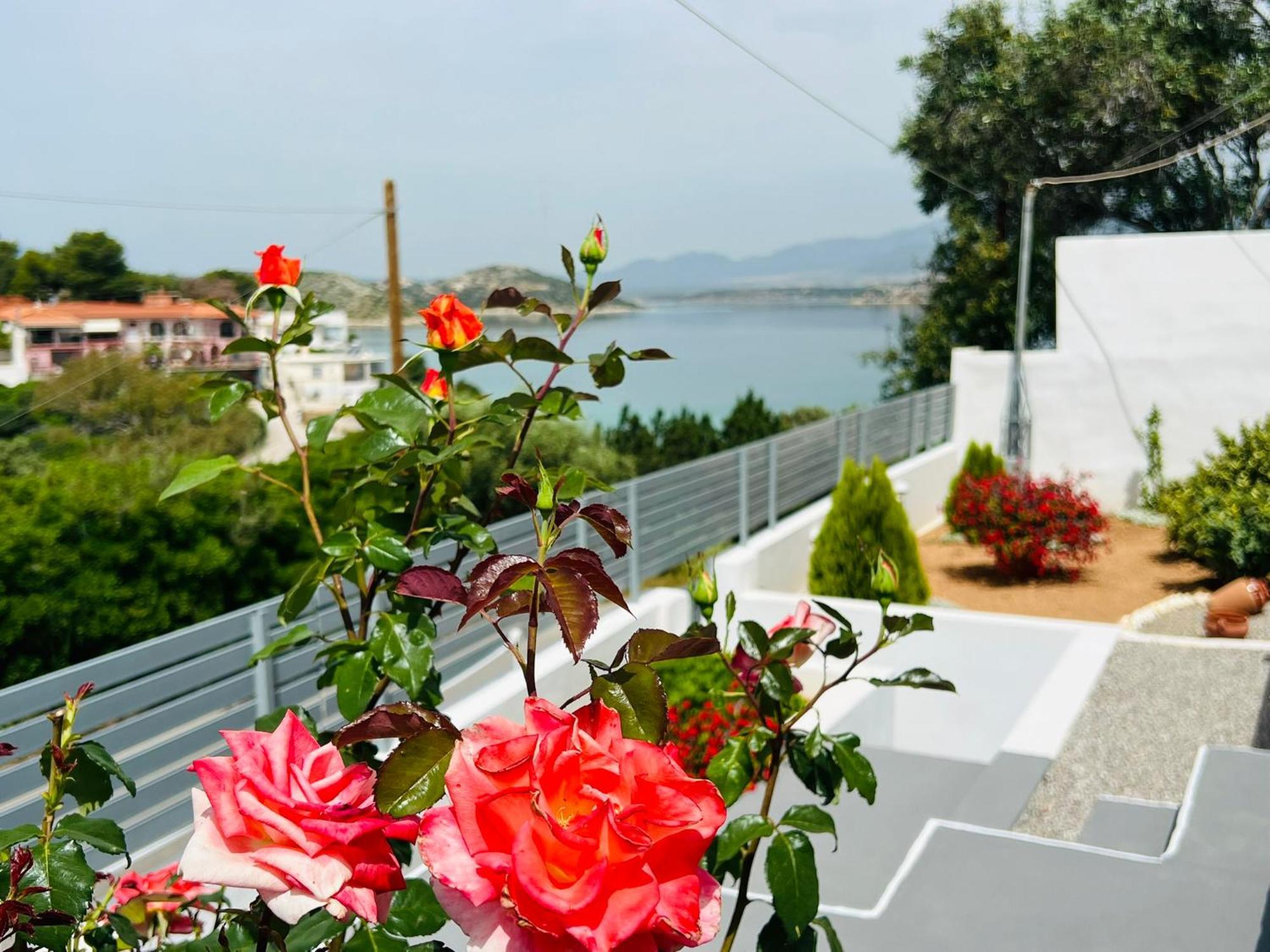 Oceanus Summer House Salamina Zewnętrze zdjęcie